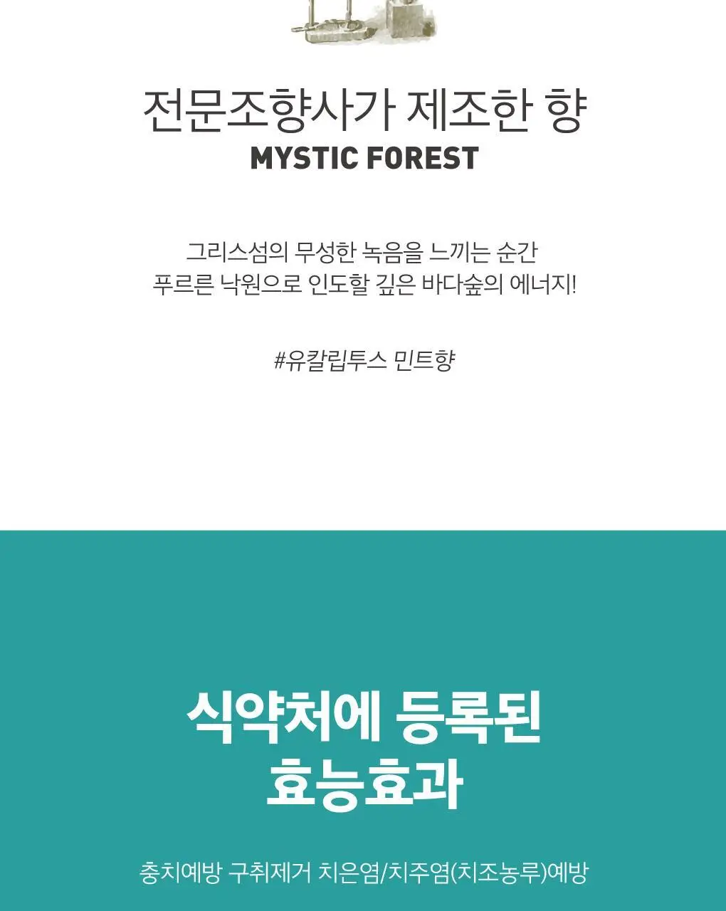 [구취케어] 루치펠로 미스틱포레스트 치약 100g 상세페이지 9